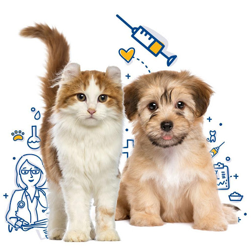 Miis & Peek Clinica Veterinaria 24 horas