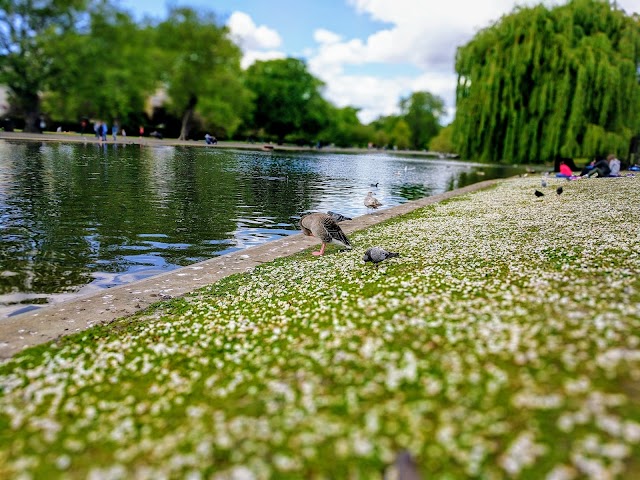 Regent's Park