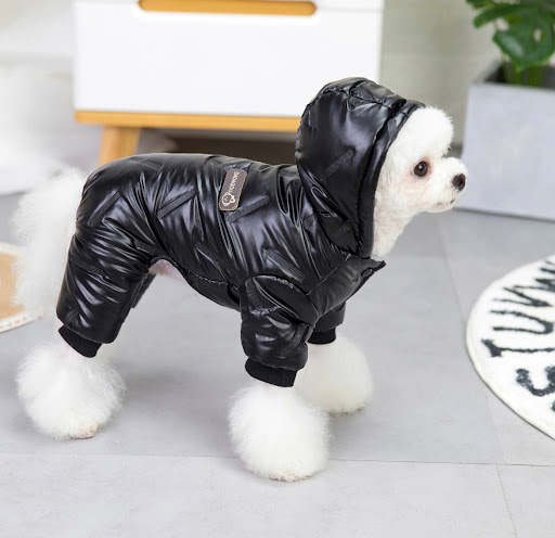 The Woof Boutique - Thumbnail