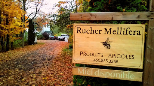 Rucher Mellifera - Thumbnail