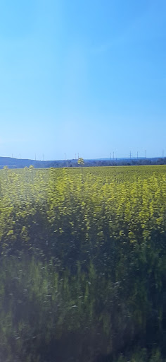 Windpark Erfurt - Visual