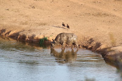 Photos of Domkrag Lookout