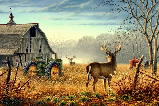 Circle B Farms - Thumbnail