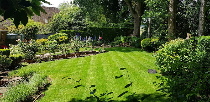 Weed it out garden services