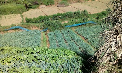 Photos of My Nuwara Eliya