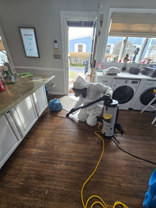 Bright Side Restoration, Inc. photo