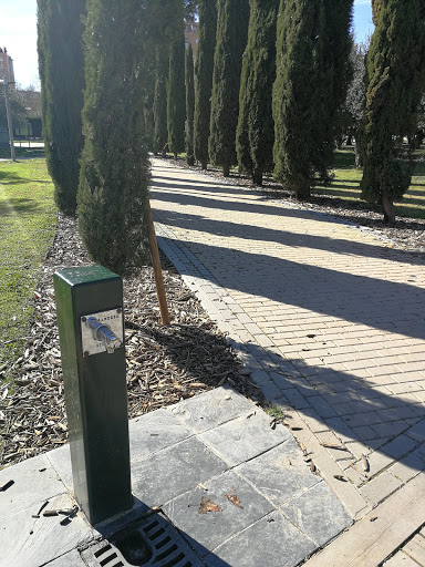 Paseo de los Sentidos - Thumbnail