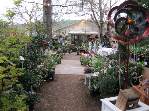 Star Gardens - Thumbnail
