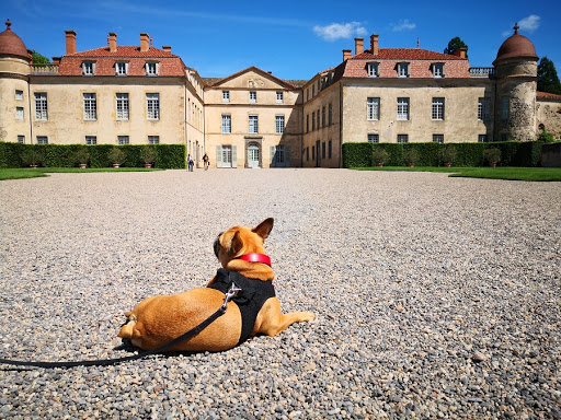 Tourisme avec mon chien - Thumbnail