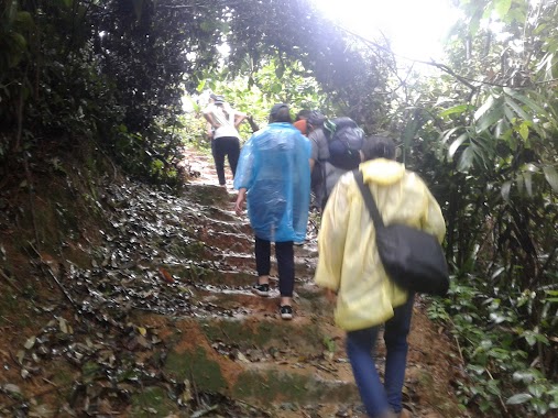 Pine Forest Camping Outbound Mount Pancar, Author: Hasan ashari