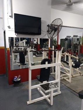 Knock-Out Gym, Author: LEONARDO DAVINCHE