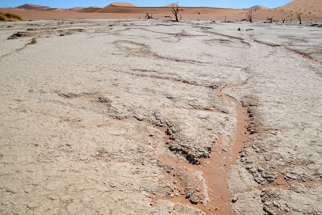 Dead Vlei