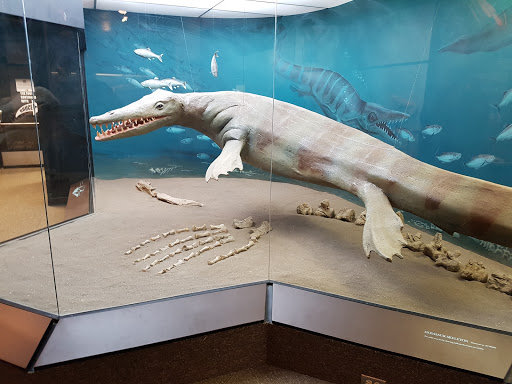 Canadian Fossil Discovery Centre Gallery - Canada