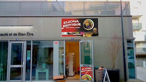 Eliona exotic