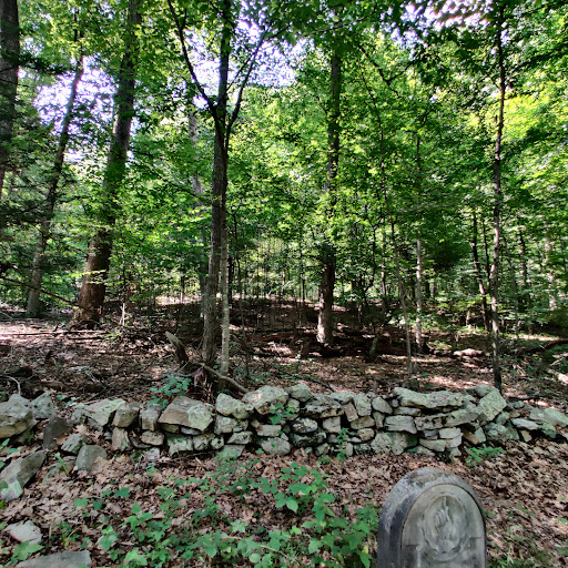 Tuscarora State Forest - Thumbnail