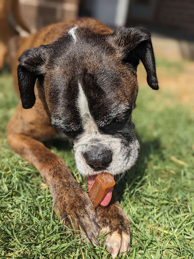 Bull n Box Barkery - Thumbnail
