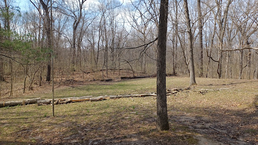 Delaware Field