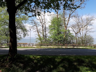 Photos of Camping M&ouml;wenplatz