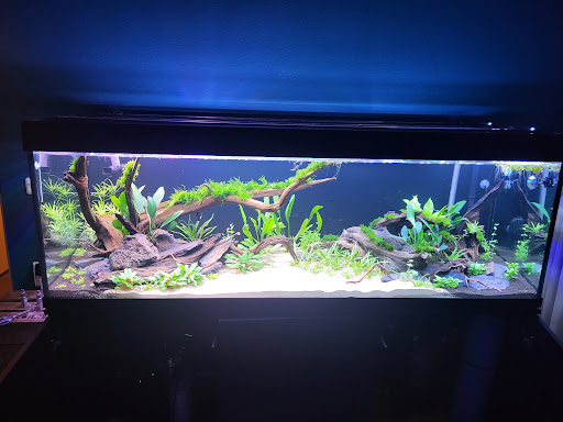 Tweedehands Aquarium Apeldoorn - Thumbnail