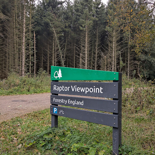 Raptor Viewpoint - Visual