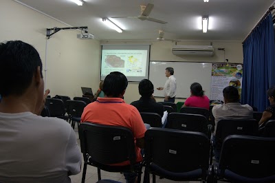 university