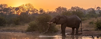 Photos of Pondoro Game Lodge