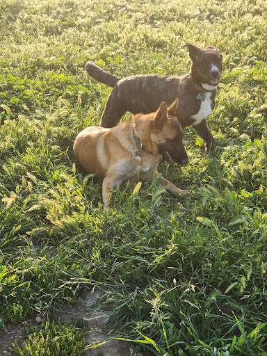 BARC Adoption Center/ Thrift Store Gallery - United States