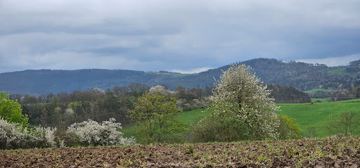 Bildungszentrum Saalfeld gGmbH - Thumbnail