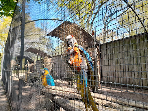 Zoo Veldhoven - Thumbnail