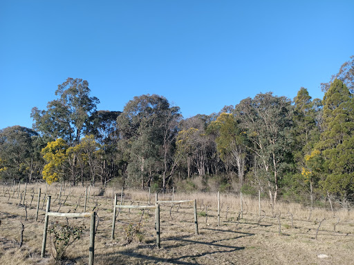 Ravenscroft Vineyard - Thumbnail