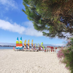 Photo n°8 de Club de Plage Les Courlis à La Baule-Escoublac (Centre équestre)