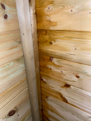 Project Timber - Visual