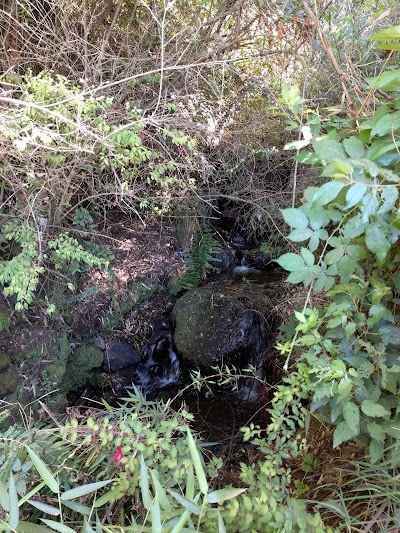 Photos of Camping Lorena