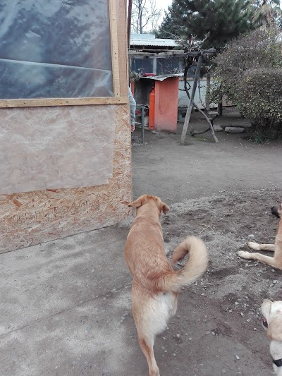 Photos of Fundo Quinta Maipo