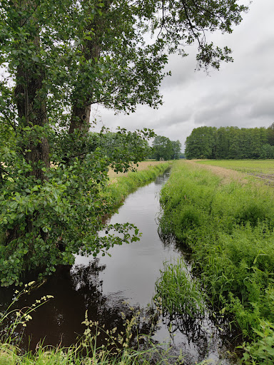 Haberlands Bach - Thumbnail