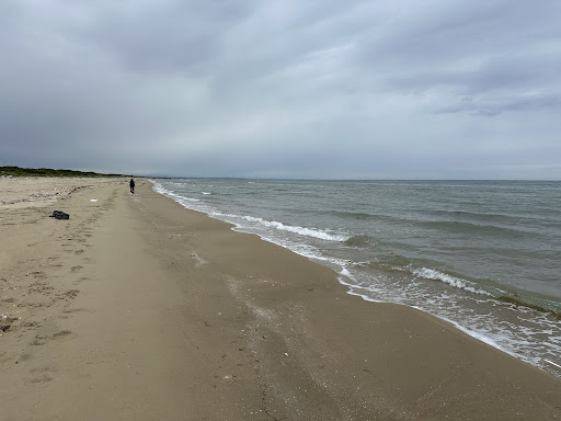 Moskito Beach - Visual