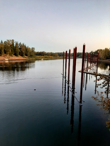 Jon Storm Park - Visual