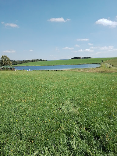 Agentur für Arbeit Clausthal-Zellerfeld - Thumbnail