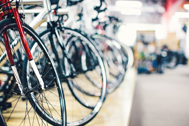 Serwis rowerowy Krosno : Sport Winter and Summer - Narty i Rowery - Krosno