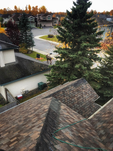 Winterproof Roofing - Visual