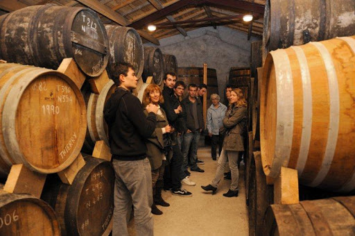 Domaine des claires - Thumbnail