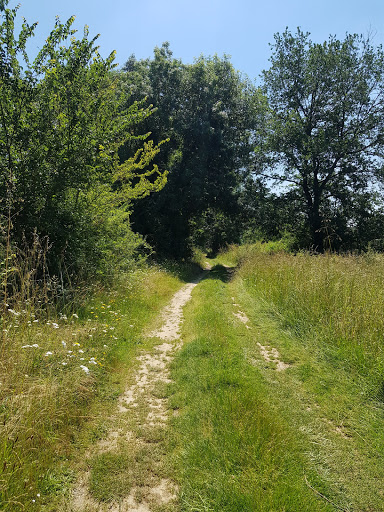 Sentier De L'Adour Gallery - France