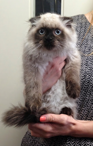 Bond Animal Hospital - Thumbnail