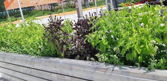 photo-2