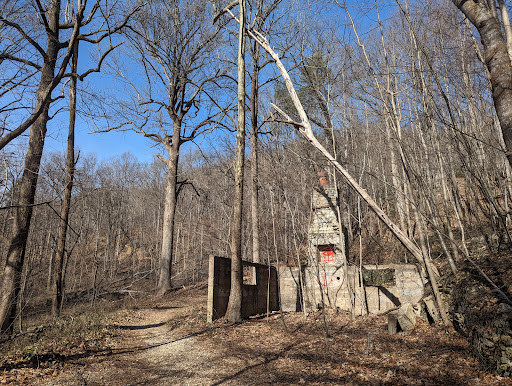 Norman Wilder Forest - Thumbnail
