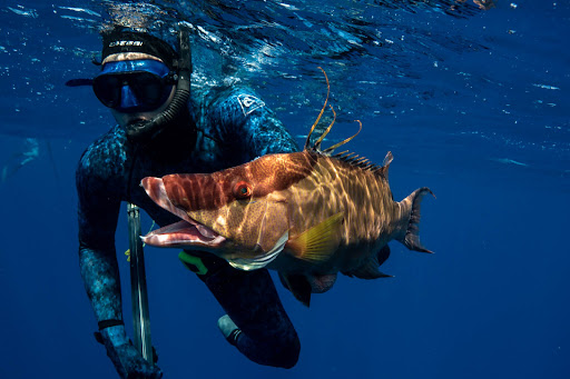 Spearfishing Caribe