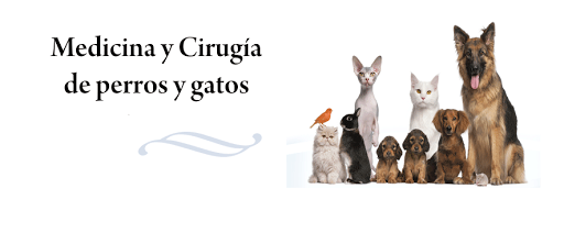 CLINICA DR. BADILLO