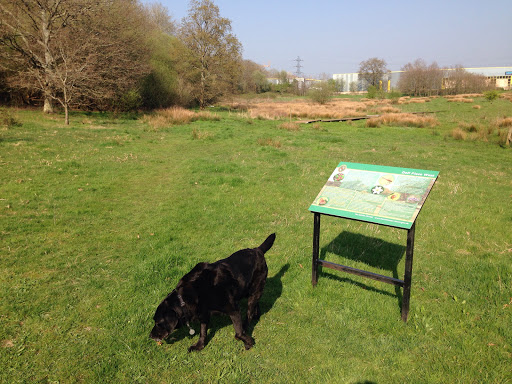 Dell Piece West Nature Reserve - Thumbnail