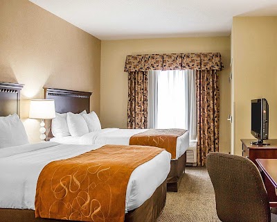 Comfort Suites Southington - Cheshire