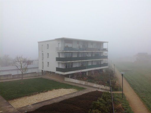 artIZAne - Visual
